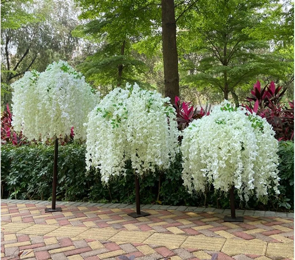 Wisteria store cheap