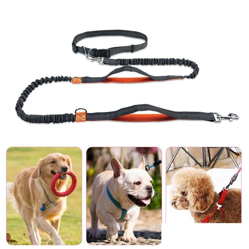 Dog Collars Leashes Reflect Light Flex Running Waist Belt Mtifunction Walk The Chain Pet Supplies Will And Sandy Drop Delivery Home Dhjv3