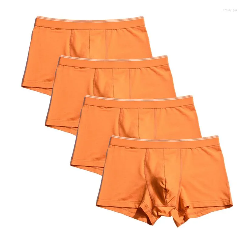 Slip 4 Pack Boxers Briefs Garçon Culotte Grande Taille Hommes Sous-Vêtements En Coton Solide Sous-Vêtements Homme Short Respirant Troncs Culottes