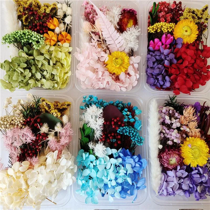 Fleurs décoratives bricolage séchées pour la fabrication de moules en résine bougie vraies garnitures de fleurs Nail Art maison artisanat coulée