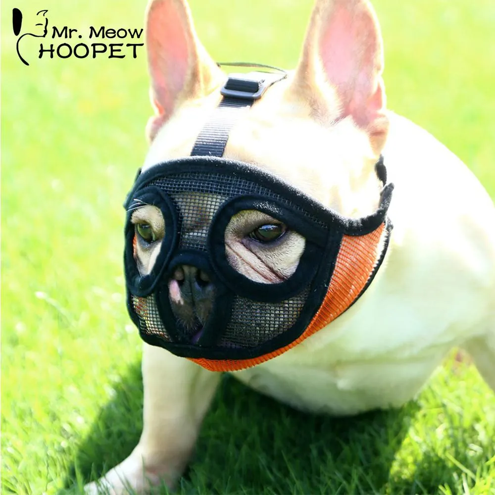 Muzzles Hoopet Pet Small Dog French Bulldog Muzzle Dog Mouse Basket Breathable Muzzle for Dogs Leash Harness Supplies