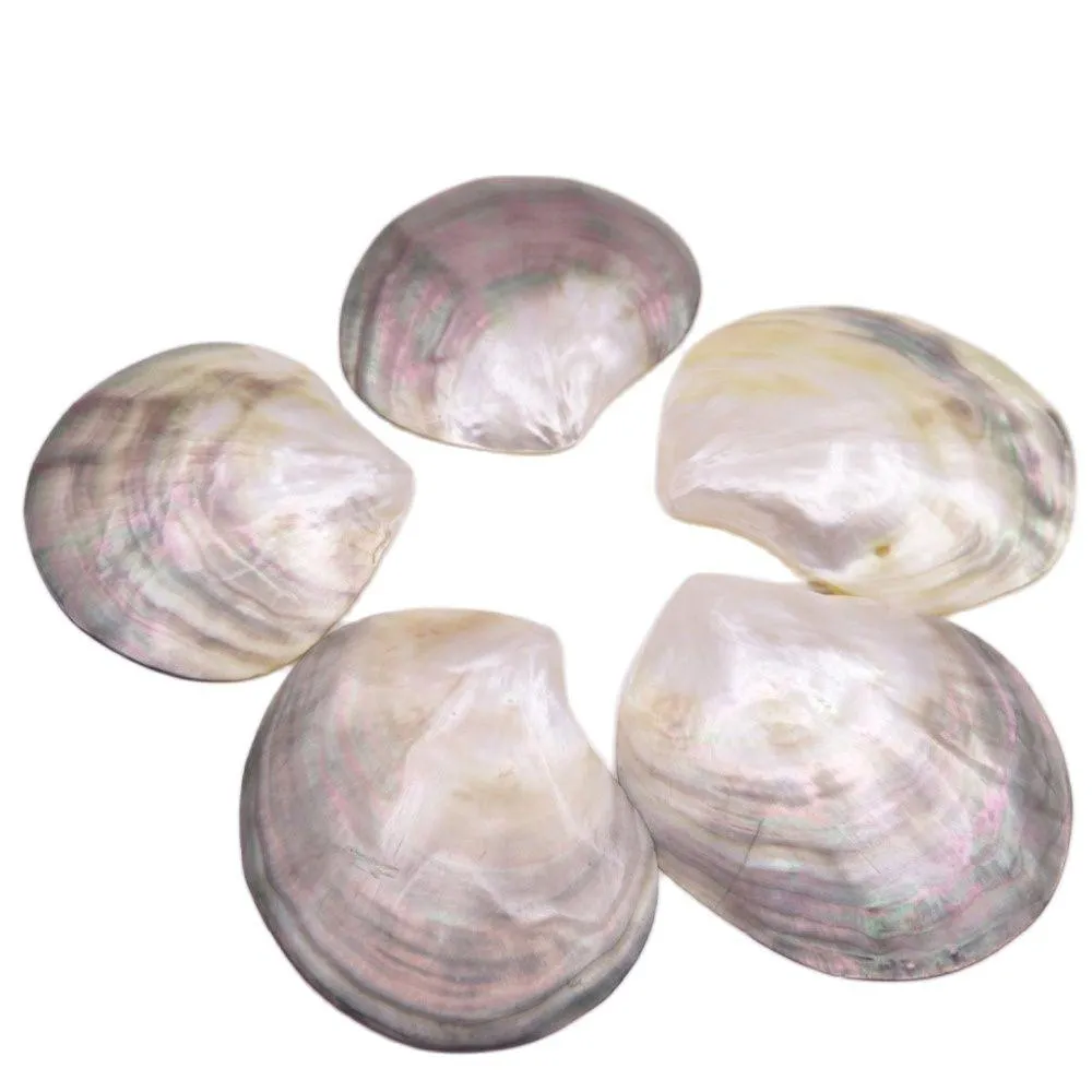 Perline da 5 pezzi da 70 mm80mm Shell Natural Mother of Pearl senza foro oggetti da collezione