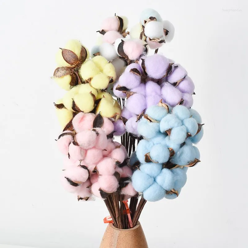 Fleurs décoratives 10pcs coton séché à tête unique avec poteau de fer vente bricolage mariage décoration de la maison matériaux bouquet de fleurs sèches anniversaire