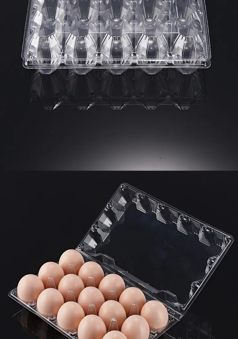 720st Factory grossist 15 hål äggbehållare transparent plastförpackningslåda för ägg disponsibelt äggbricka