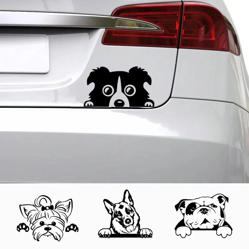 Samochody akcesorie kalkomaty zabawny pies z imieniem kaloszek psa zwierząt zwierząt laptop winylowy naklejka do Apple MacBook Pro/Air Decoration