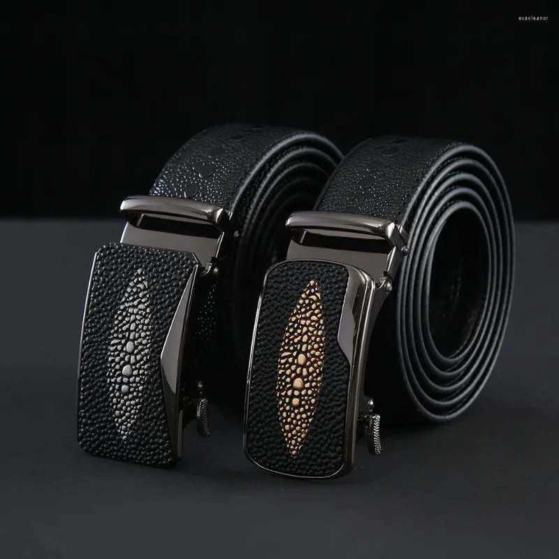 Belts Business Cowhide Men's Belt Alloy Automatic Buckle First Layer Casual Suit Genuine Leather For Men Direct Sales