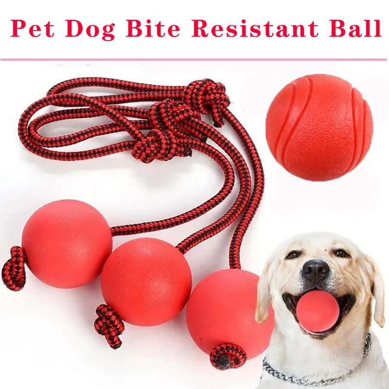 Pelota para Perros,Bola de Limpieza de Dientes Juguetes para Perros  Mascotas Pelota de Goma Elástica,Bolas Juguetes Interactivos para Morder  Perro - Por el perro