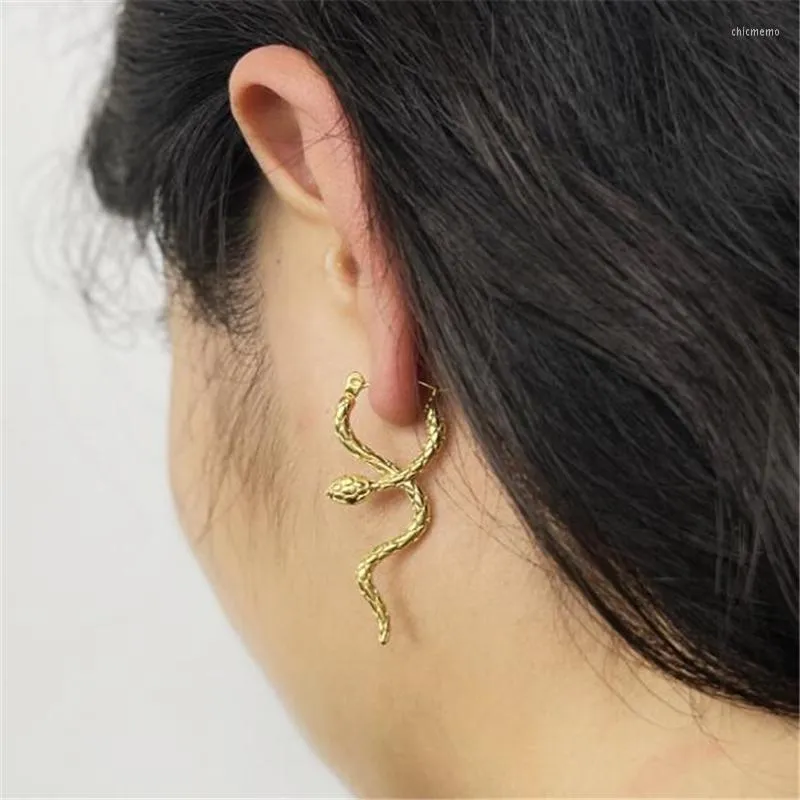 Boucles d'oreilles créoles rétro 18k couleur or plaqué acier inoxydable Animal serpent pour femmes personnalité géométrique fille bijoux