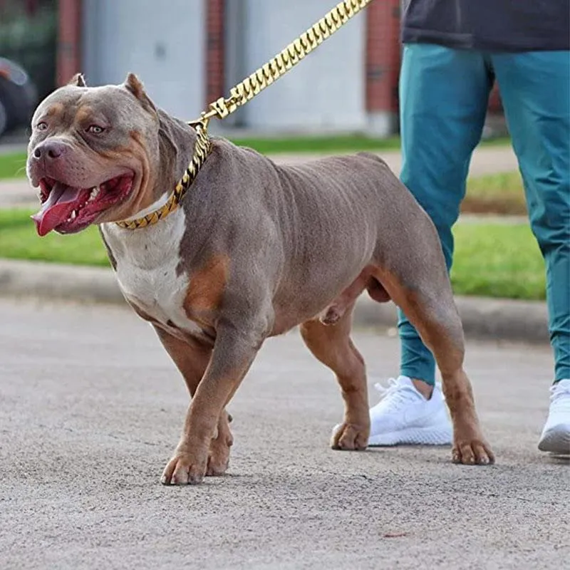 Cuban link choker for dogs hotsell