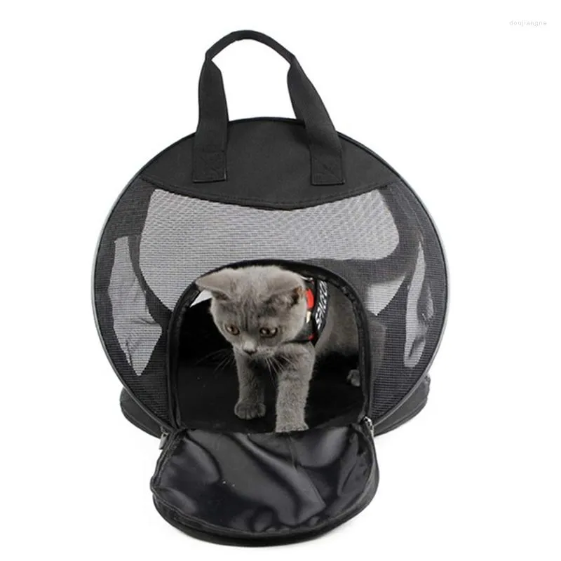 Lits pour chat Ainolway Transporteur pour animaux de compagnie Sac portable en maille respirante pour petit chien et tipi Chiens Hamac