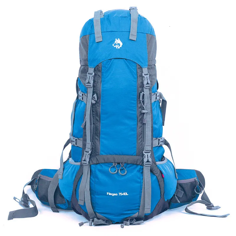 Outdoor Bags Jungle King China High Quality Outdoor Camping Hiking Bag Nylon High Tear Strength Adjusting 7510L Heavy Backpack Shoulders