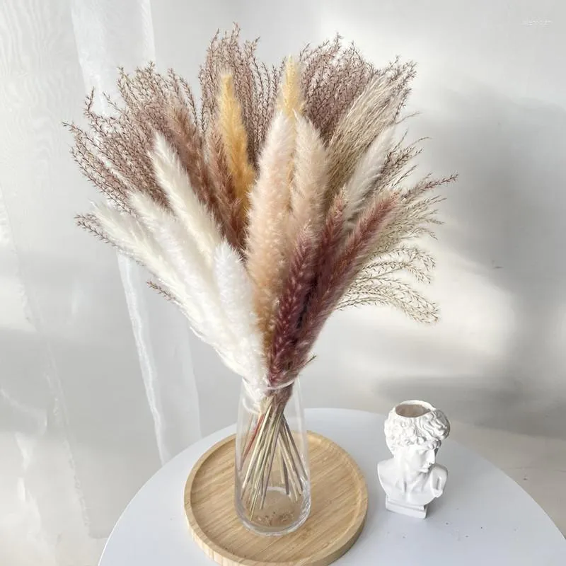 Fiori decorativi Pampas Erba Phragmites Reed Disposizione di bouquet naturale essiccato Decorazioni per feste di matrimonio Decorazioni natalizie per la tavola di casa