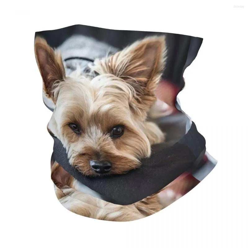 Foulards mignon Mini Yorkshire Terrier Bandana cache-cou imprimé masque écharpe chaud cyclisme équitation unisexe adulte respirant