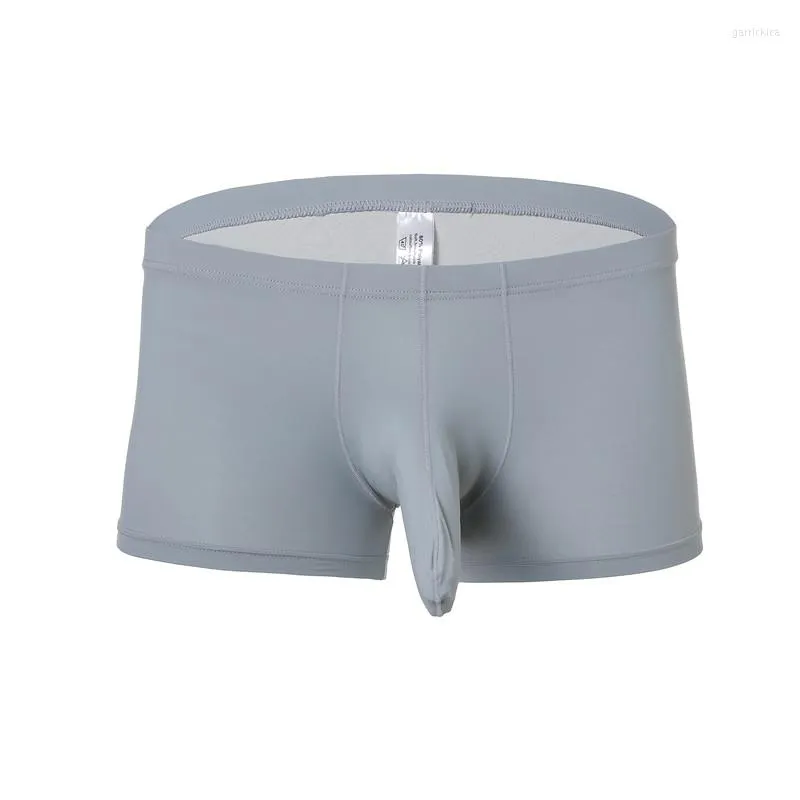 Breathable Ice Silk Elephant Trunk Boxer Under Shorts For Men Sexy And  Comfortable Underwear By A Top Brand From Garrickica, $14.51