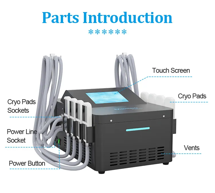 ems cryolipoly pads gewichtsverlies vet bevriezing lipolaser maxlipo cryopad lipolaser liposoom liposuctie beeldhouwen behandeling draagbare salon gebruik apparaat prijs