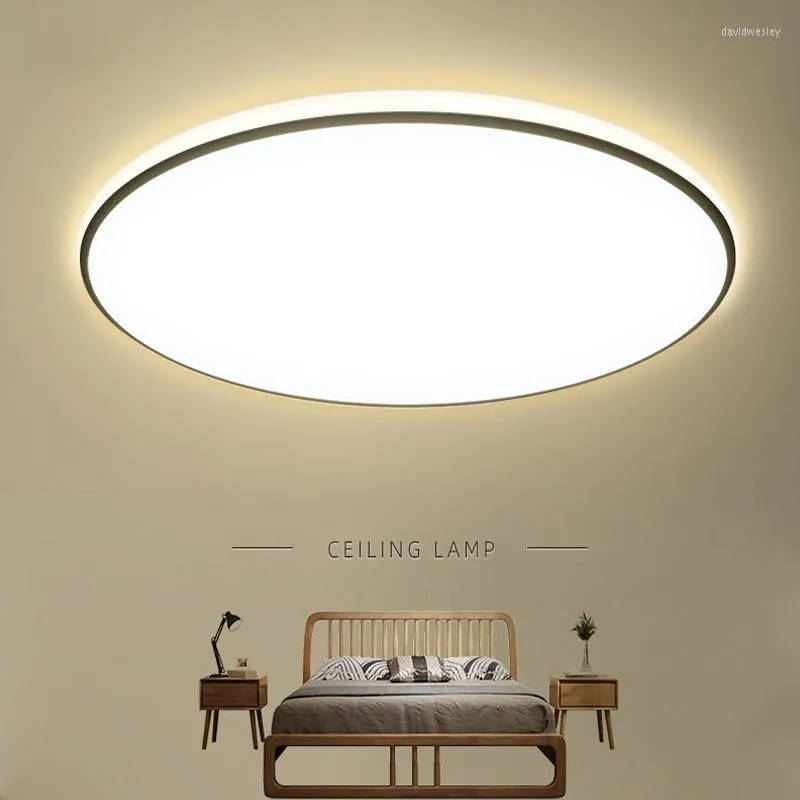 Ceiling Lights 0.78inchs LED Chandelier For Bedroom 40W 24W 18W 8W Surface Mounted Lamps Bathroom Kitchen Dining Room