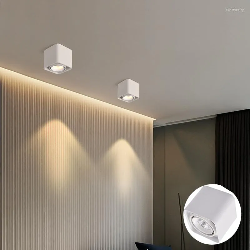 Taklampor ytmonterad fyrkantig dimbar kolv LED -lampor 7W Spot Direction Justerbar inomhusbelysning