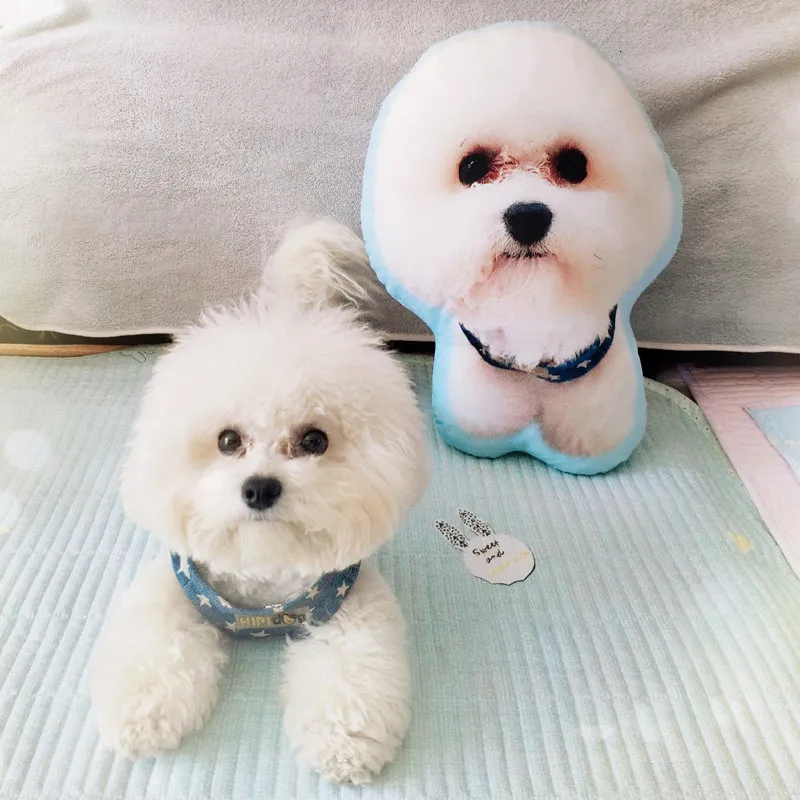 Customizable DIY Dog Cushion And Pet Plush Toy Dolls Kitten