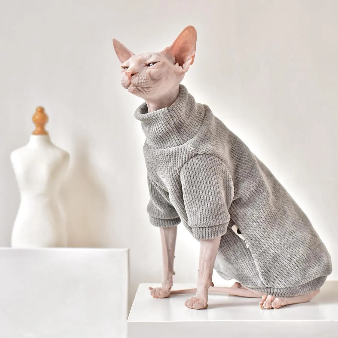 ABBIGLIAMENTO ELEGANTE CALDO SPHYNX CATTO CATTO FASHIO KITTY CATTO CATTO PACCIALI PER COMFORTO COMFORTO IL Abito invernale per Cat CAT