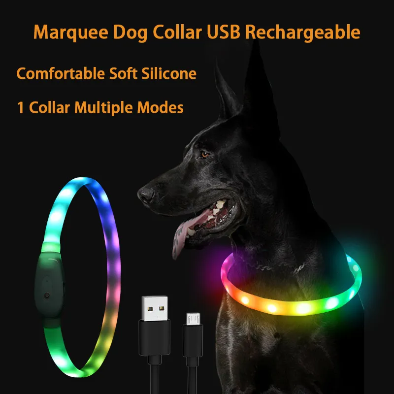 Hundhalsar Leases RGB Discolor Glowing Collar For Dogs Large Medium USB Laddningsbar hundkrage Lysslys Light Night Safety Pet Accessories 230612