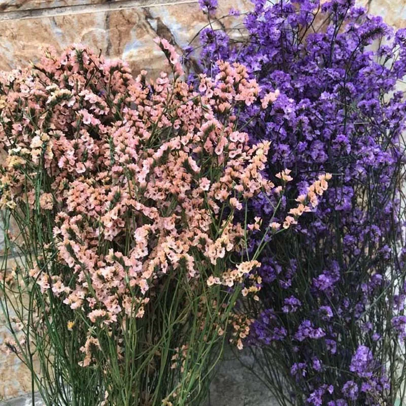 Getrocknete Blumen, 3542 cm, ca. 35 g, echter, natürlicher, konservierter Kristallgras-Blumenstrauß, für immer, Vergissmeinnicht-Liebhaber, für Heimdekoration 230613