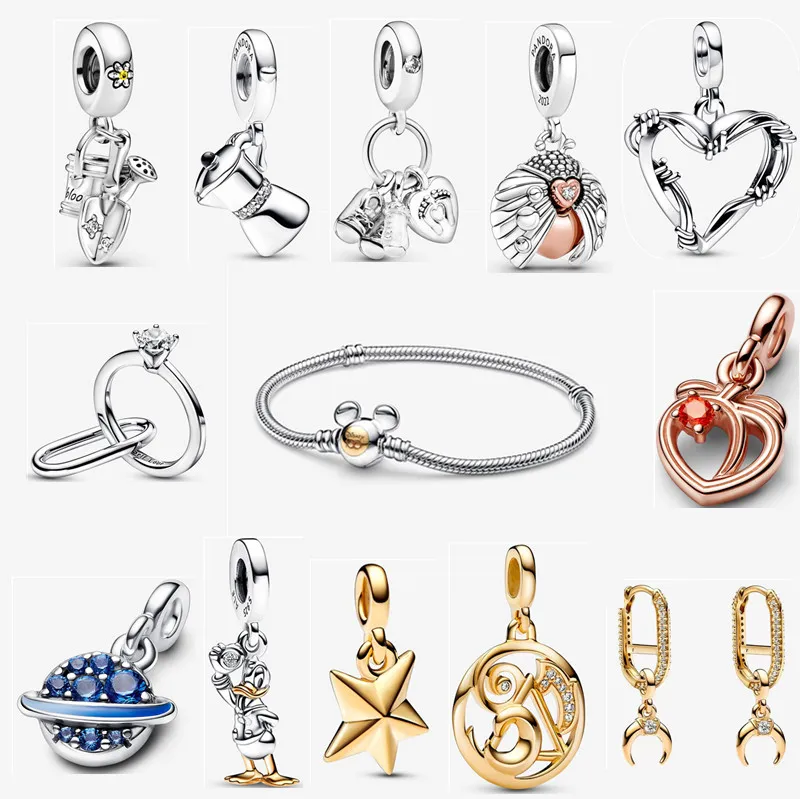 Designer 925 Silver Charms Bracelet for Women, Engagement Gift, High ...