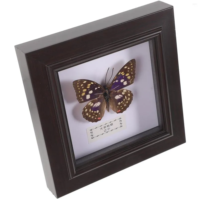 Garden Decorations Table Top Decor Butterfly Taxidermy Decoration Wall Hanging Specimen 16.5x16.5cm Frame Simulated Plastic Picture Office