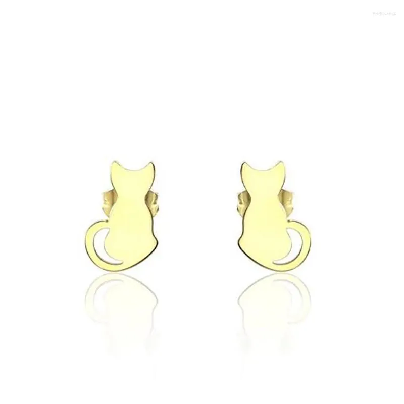 Boucles d'oreilles en acier inoxydable