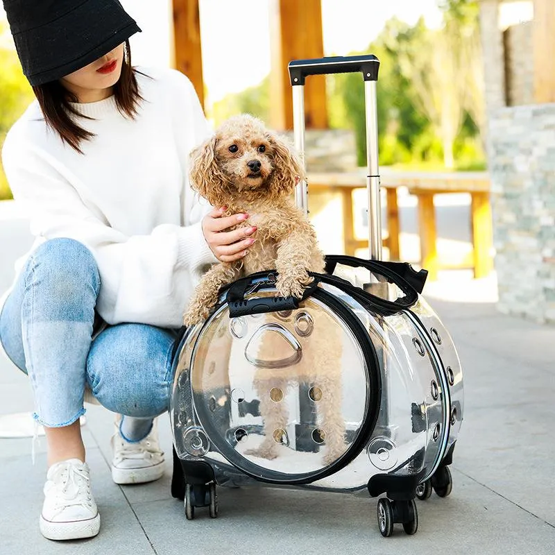 Hundbilsäte täcker husdjurskattvagnars resväska bagage med hjul som bär transparent andningsbar bärare ryggsäckvagn