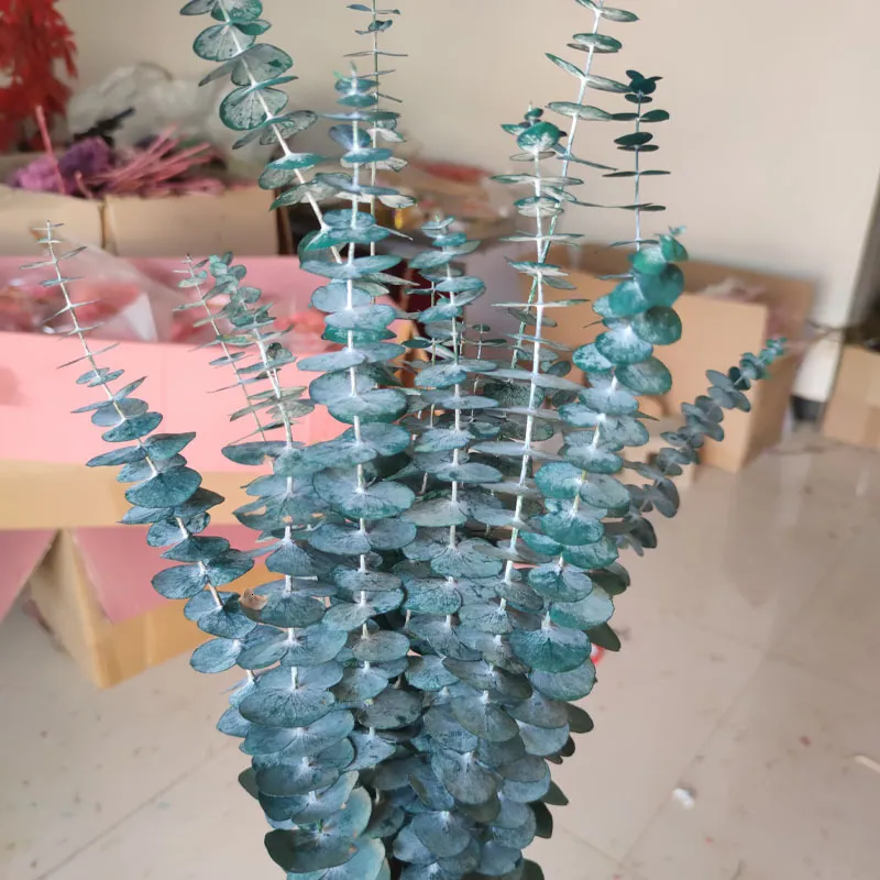 Gedroogde Bloemen Blauwe Eucalyptus Bladeren Bewaarde Natuurlijke Bloemstuk Woondecoratie Mariage Boeket DIY Epoxyhars 230613