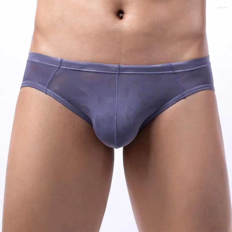 Caleçon Sexy sous-vêtements pour hommes Ultra-mince Transparent glace soie slips taille basse pénis grande poche culotte pure G-string tongs