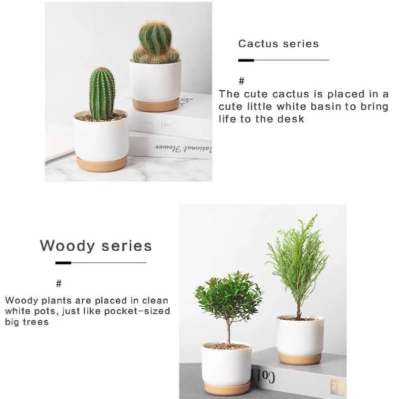 Planters Pots White Ceramic Planter Flower Containers Indoor with Drainage for Succulents Cactus R230614