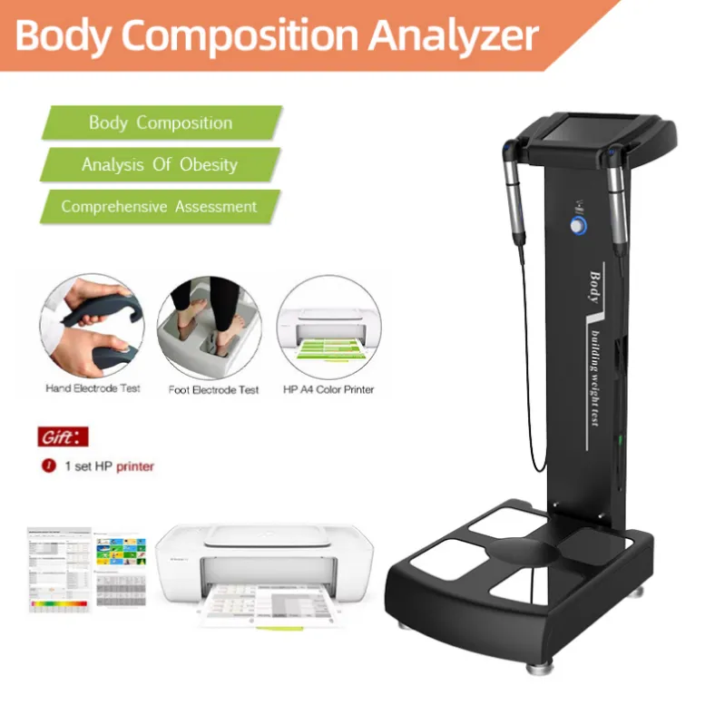 Amincissant la machine d'analyse de composition d'indice de masse d'analyseur de graisse corporelle de soins de santé de machine avec l'imprimante A4 pour la mesure de poids
