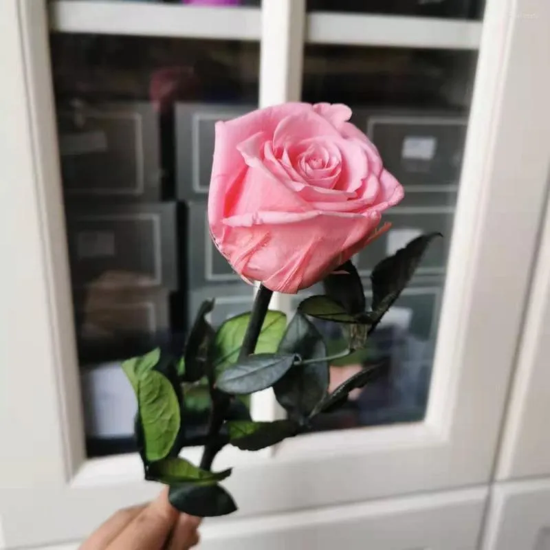 Fiori decorativi 4-5 cm / 28 cm Fiore di rosa naturale conservato con stelo Display eterno reale per la decorazione domestica della festa nuziale Festa della mamma