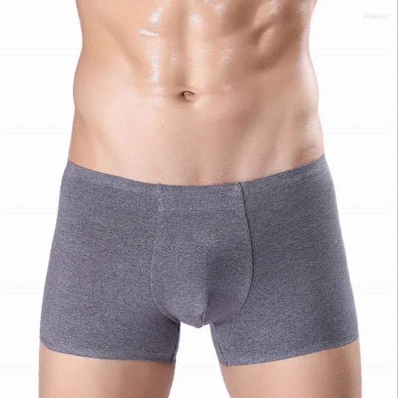 Unterhosen Herren Nahtloser einteiliger Sexy Boxer 5 Farben optional