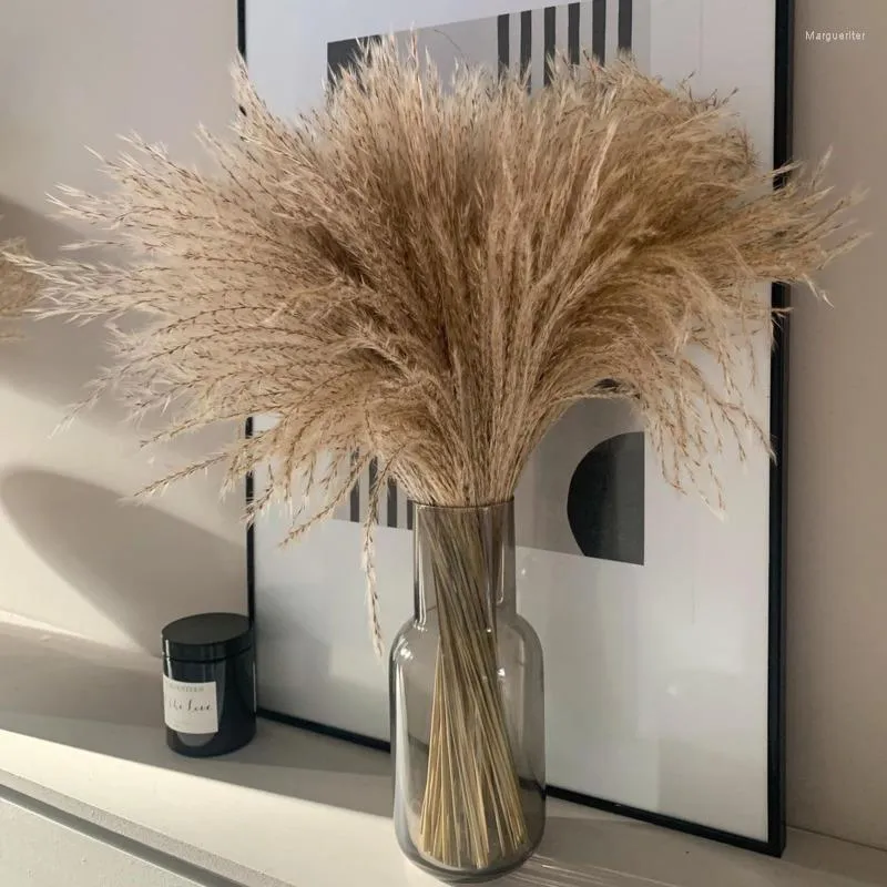 Decoratieve Bloemen Echte Gedroogde Kleine Pampas Gras Bruiloft Bos Natuurlijke Planten Home Decor Kunstmatige Phragmites Bloem Sier