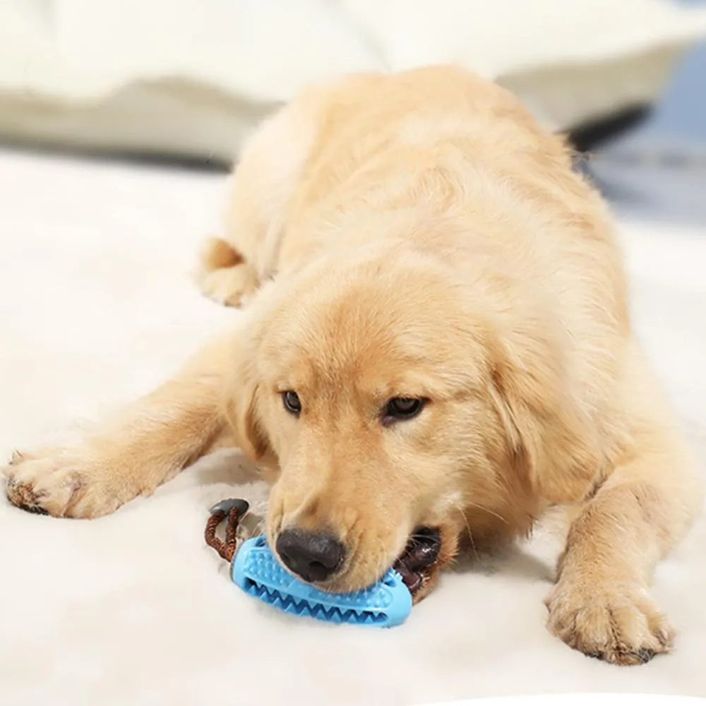 Игрушка для домашних собак интерактивные натуральные резиновые шары игрушка смешная интерактивная эластичность чистые зубы, играющие моральные шарики собаки жевать игрушки