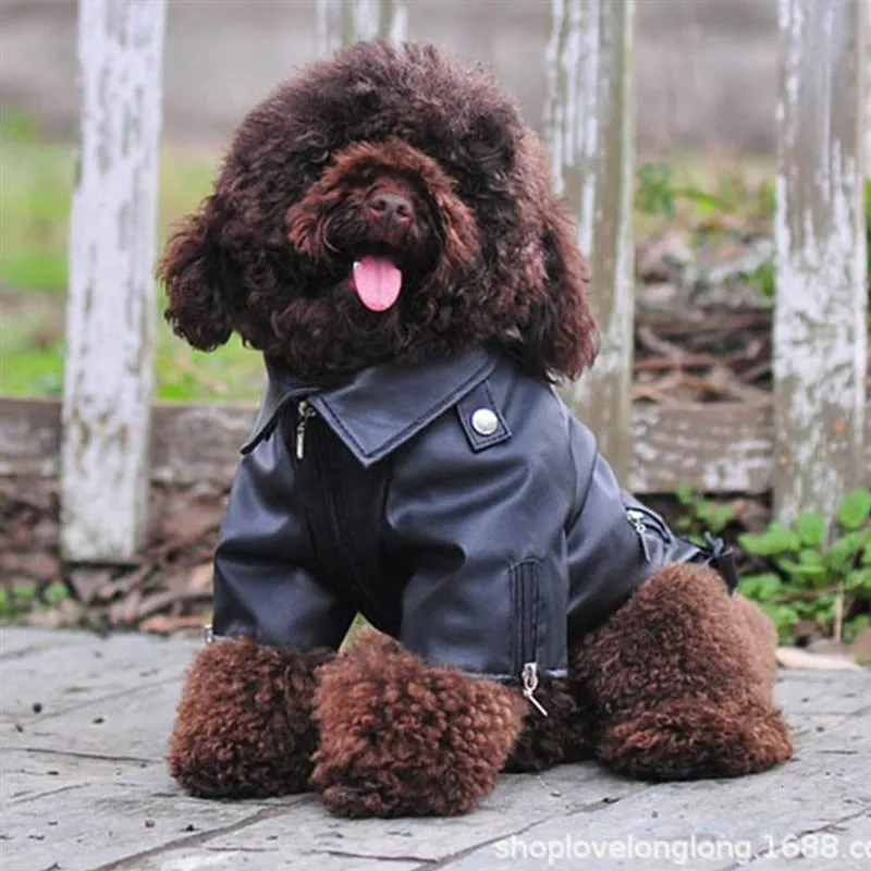 Hundkläder Pet Dog Coat Pu Leather Jacket Mjuk vattentät hundduk utomhus valp ytterkläder valp kappa jacka vinter varma kläder xxs-5xl 230614