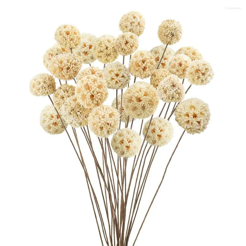 Dekoratif Çiçekler Doğal Kurutulmuş Buket Craspedia Viyazı için Billy Balls Çiçek Düzenlemeleri Düğün Centerpieces Parti Dekoru