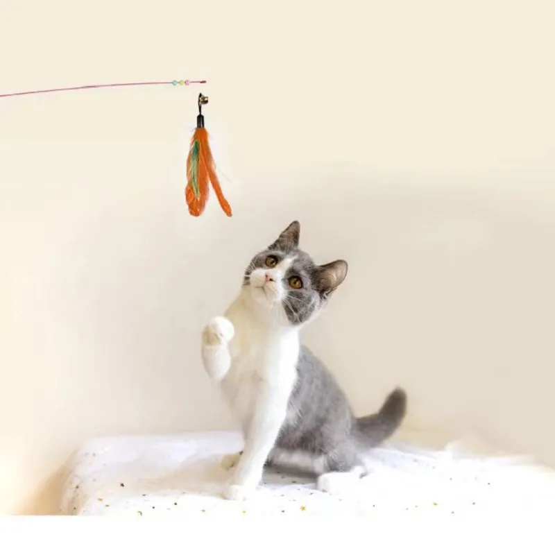 Lage prijs groothandel wire feather tease cat stick cat pet interactief speelgoed