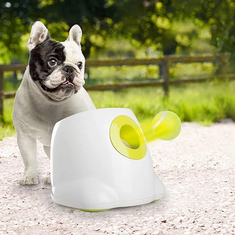 Lanciatore automatico di palline da tennis Giocattoli per cani Cani da compagnia Inseguimento giocattolo Mini tennis Lancio di flipper Divertente dispositivo di lancio di giocattoli interattivi