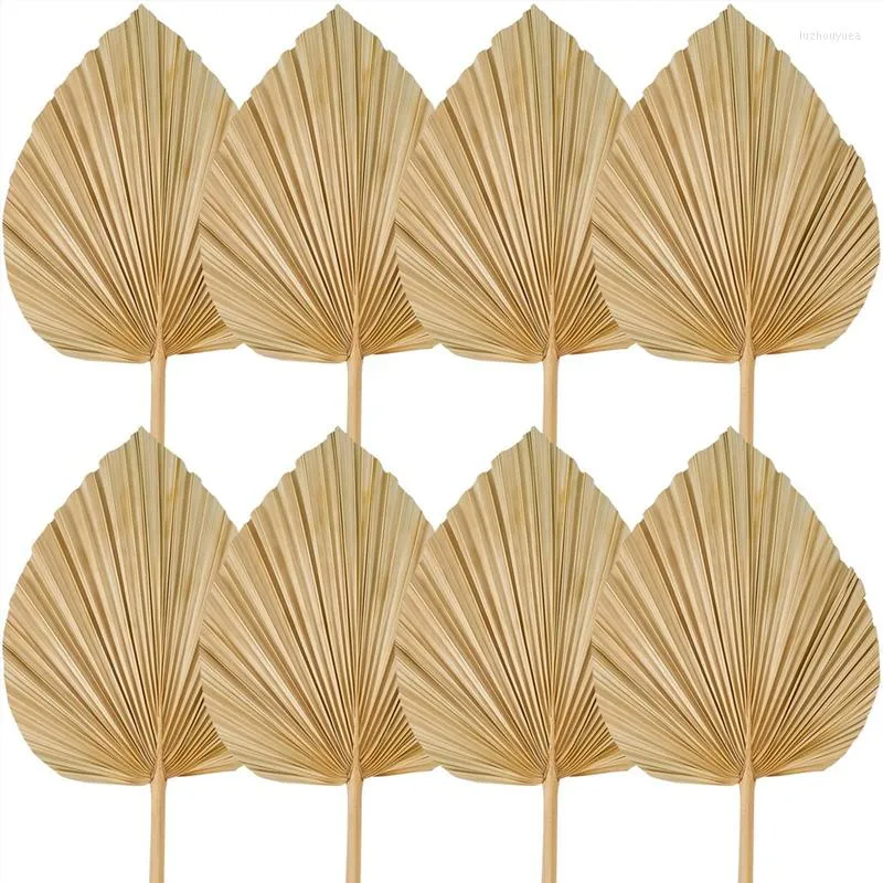 Decoratieve Bloemen 8 STUKS Gedroogde Palm Bladeren Decoraties Bijgesneden Speer Fans Tropische Bruiloft Boho