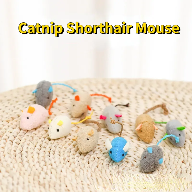 3pcs New Home Cat Toy Plush Herbal Mouse Cute Modeling Kitten Toy Universal