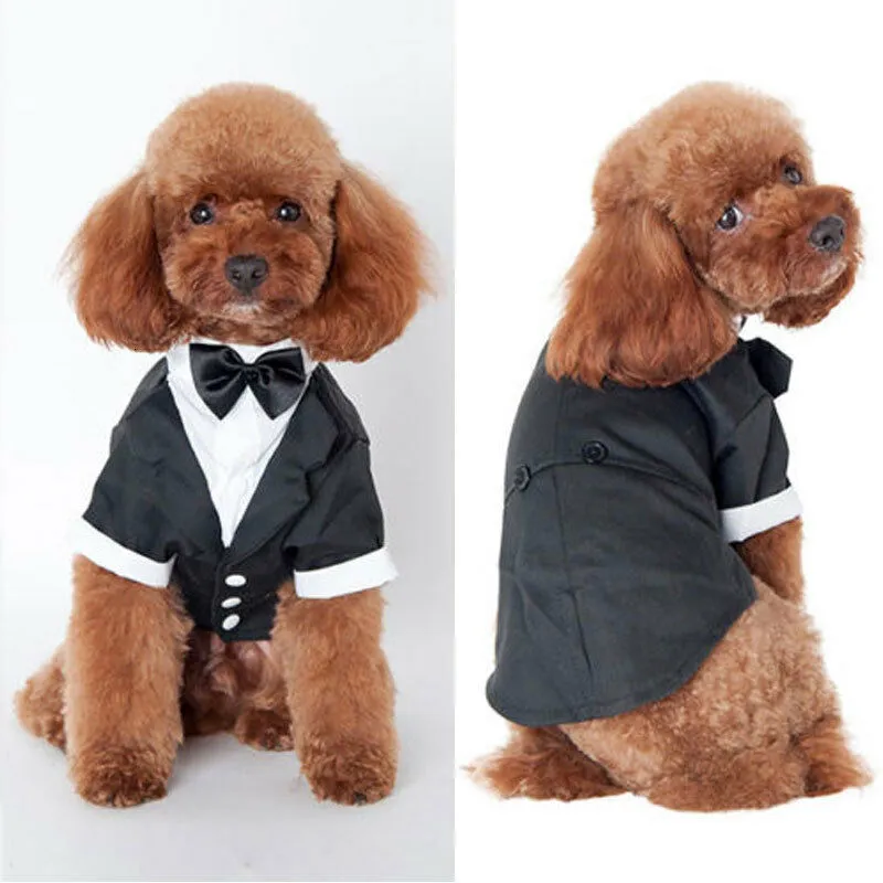 Dog Apparel Costume Cat Prince Wedding Cute Gentleman Cachorro Mascot Chihuahua Tailcoat Bowknot Coat Size 5 Pet Supplies 230616