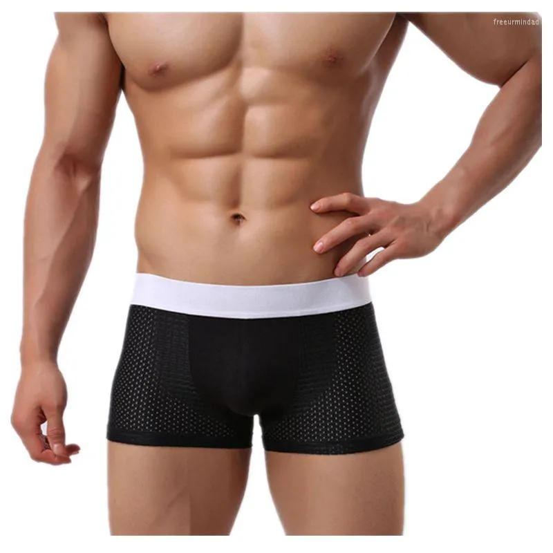 Caleçon Nylon maille sous-vêtements hommes hommes Lingerie de base Sexy Boxer Shorts Modal Boxershorts Hombre Cuecas solide
