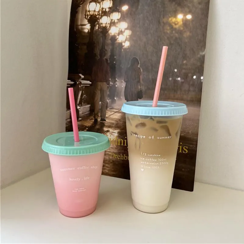 Cute Kawaii Plastic Drink Bottle With Straw With Lid And Straw 470/700ML  Capacity For Coffee, Juice, Milk Tea, And Cold Beverages Portable And  Reusable Drinking Cup From Croclassy, $6.49