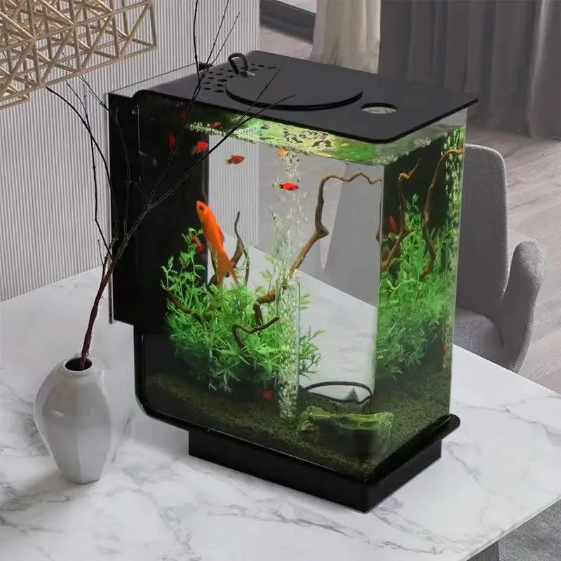 Creative Goldfish Tank With Oxygen Filter And Lighting Self Circulating Eco Friendly Aquarium For Small Fish Aquarium 230617 From Men09 138.9 DHgate.Com