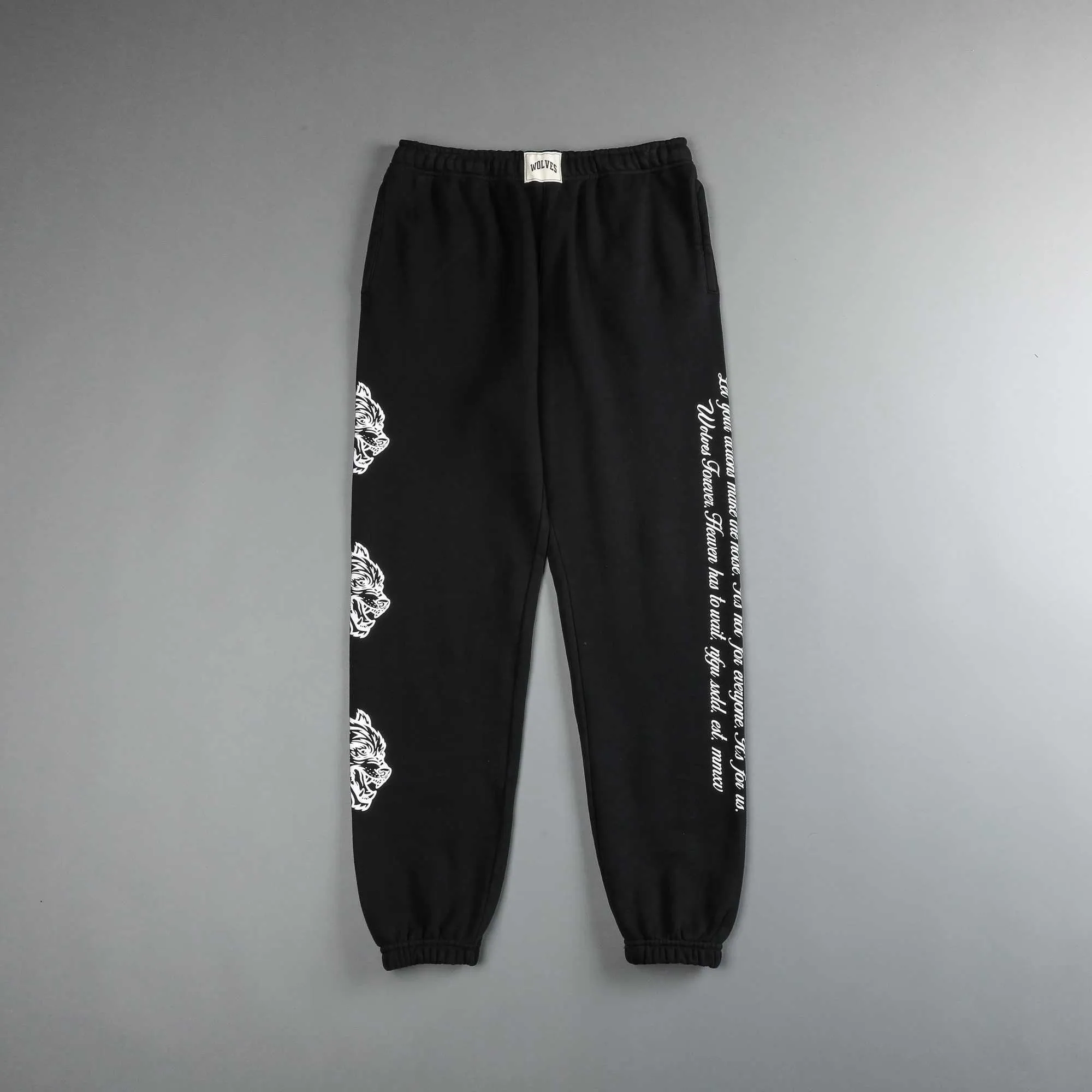DARC SPORT Mens Street Graphic Pants Casual Warm Oversized