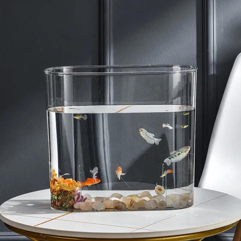 Aquariums Pet Aquarium Box Plastics Ultra-White Organic Glass Explosion-Proof Fish Tank Tablett Small Ecological Water Tank 230617