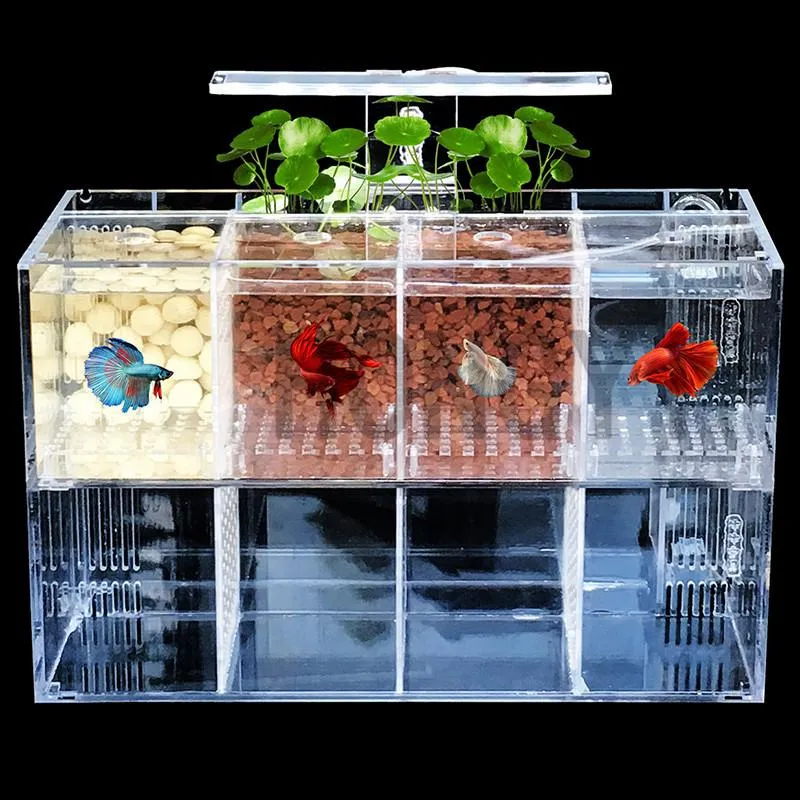 Tanks Hongyi 1 Stuk Acryl Bettas Cilinder Geïsoleerde Aquarium Gekantelde Waterpomp Fokcilinder Baby Betta Tank Guppy Fokken